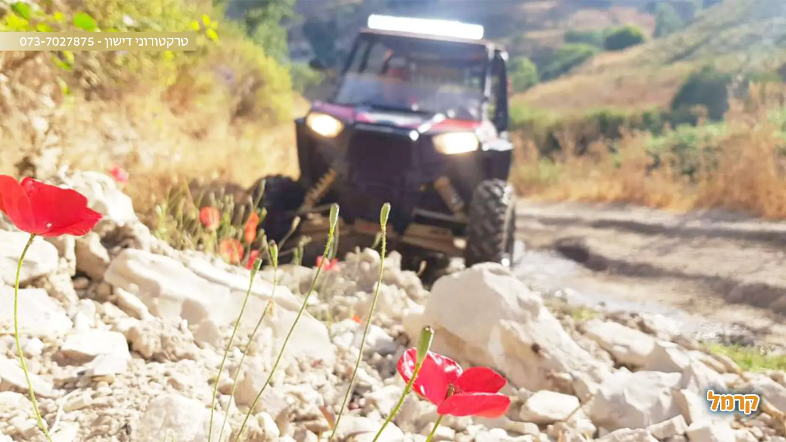 הכל על הטיפול הזוגי של הסלבס שקשור בכיף ואדרנלין, רוצים לדעת על מה מדובר?