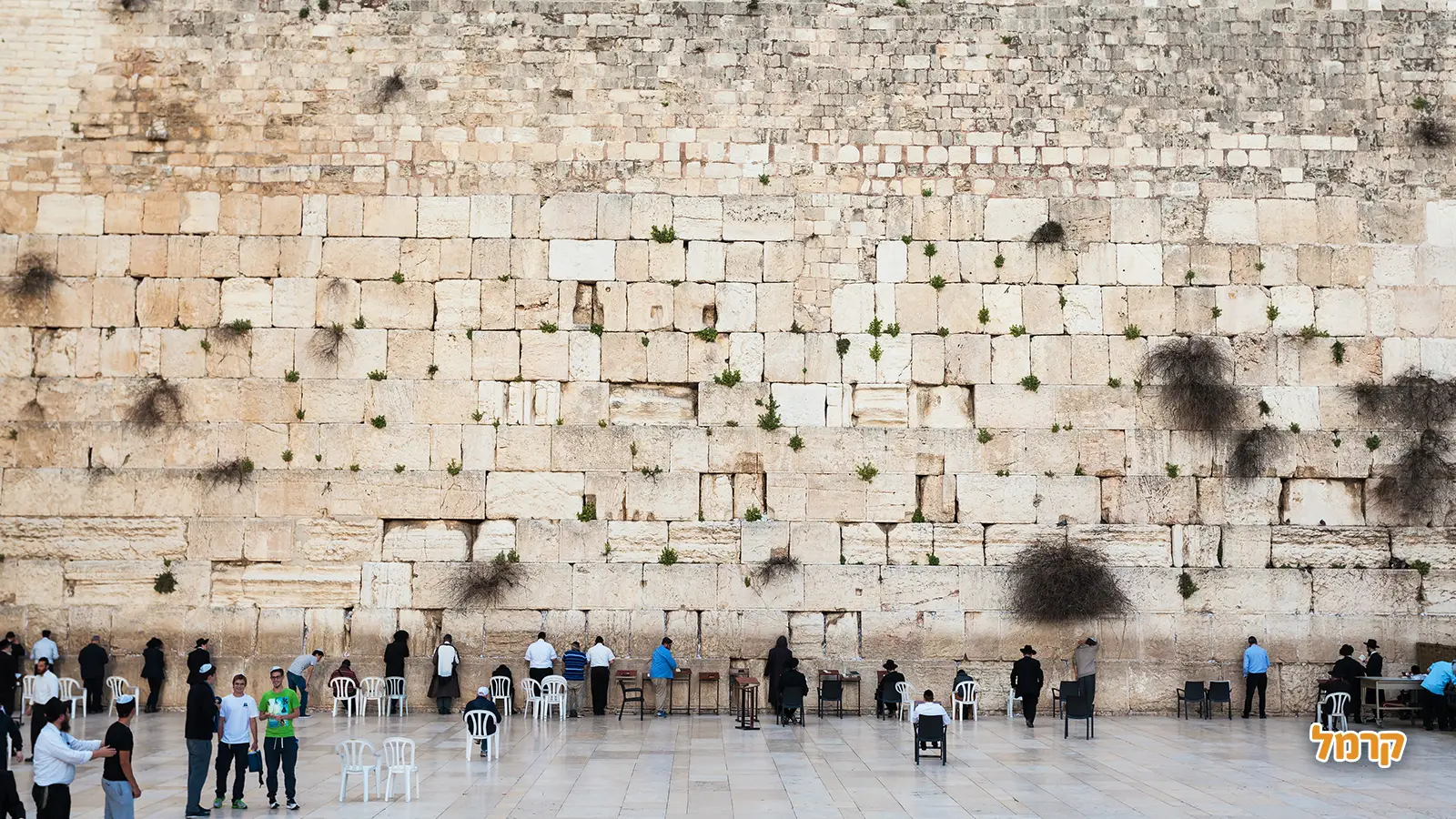 המדריך המקיף לסיורים פופולאריים בישראל: חוויות ייחודיות מצפון עד דרום המדריך המקיף לסיורים פופולאריים בישראל: חוויות ייחודיות מצפון עד דרום