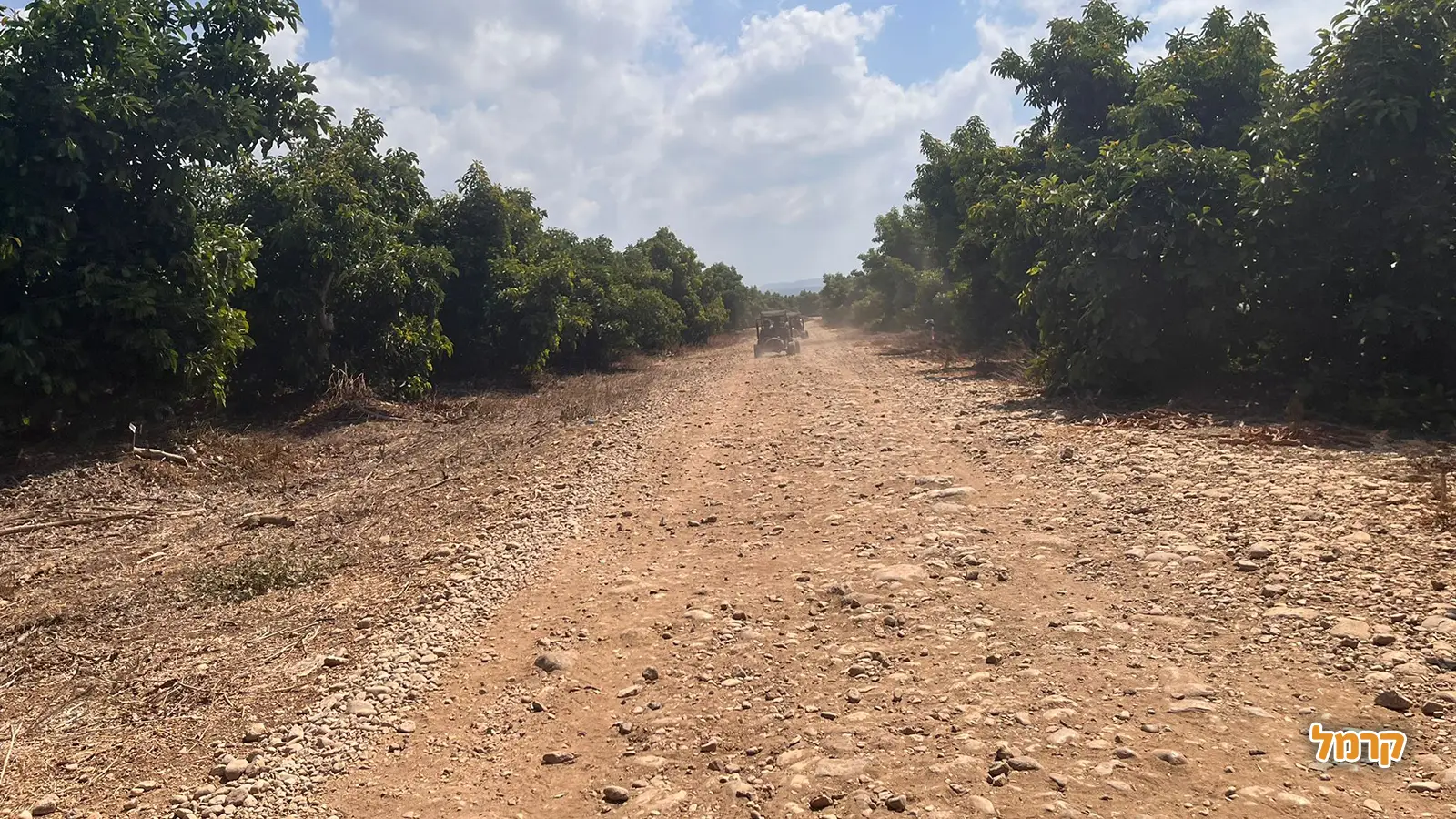 מסלולי טרקטורונים שכדאי להכיר מסלולי טרקטורונים שכדאי להכיר