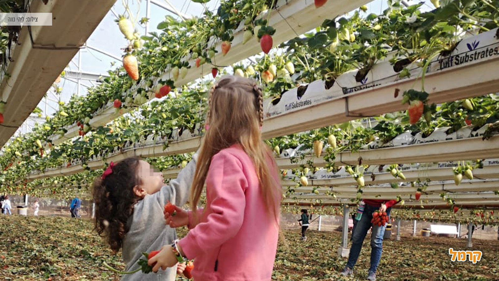 איפה מטיילים ואלו אטרקציות שוות יש בארץ ישראל?