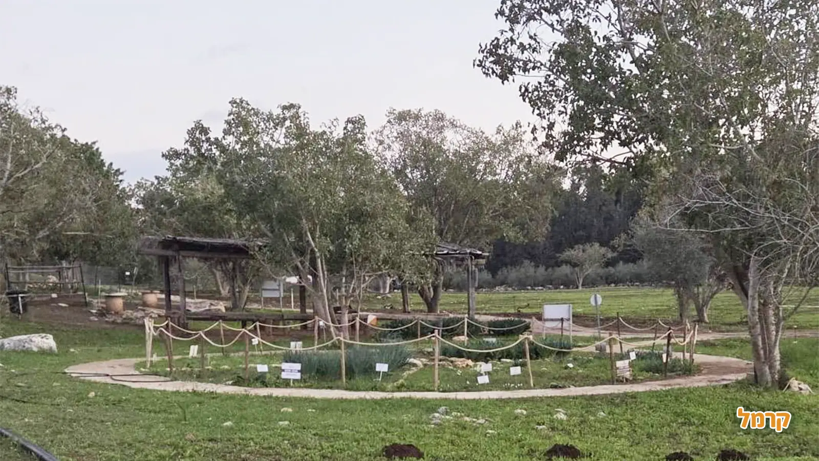 מסלולי טיול למשפחות בט"ו בשבט 2026