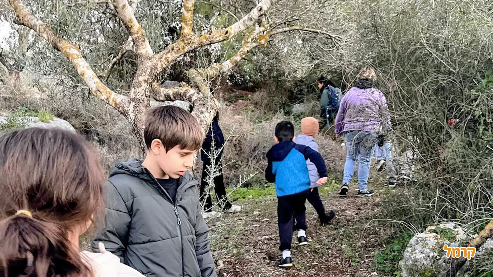 מסלולי טיול למשפחות בט"ו בשבט 2026