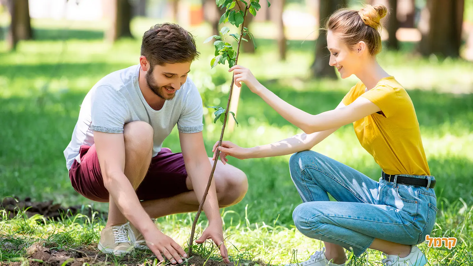 מסלולי טיול למשפחות בט"ו בשבט 2025 מסלולי טיול למשפחות בט"ו בשבט 2025
