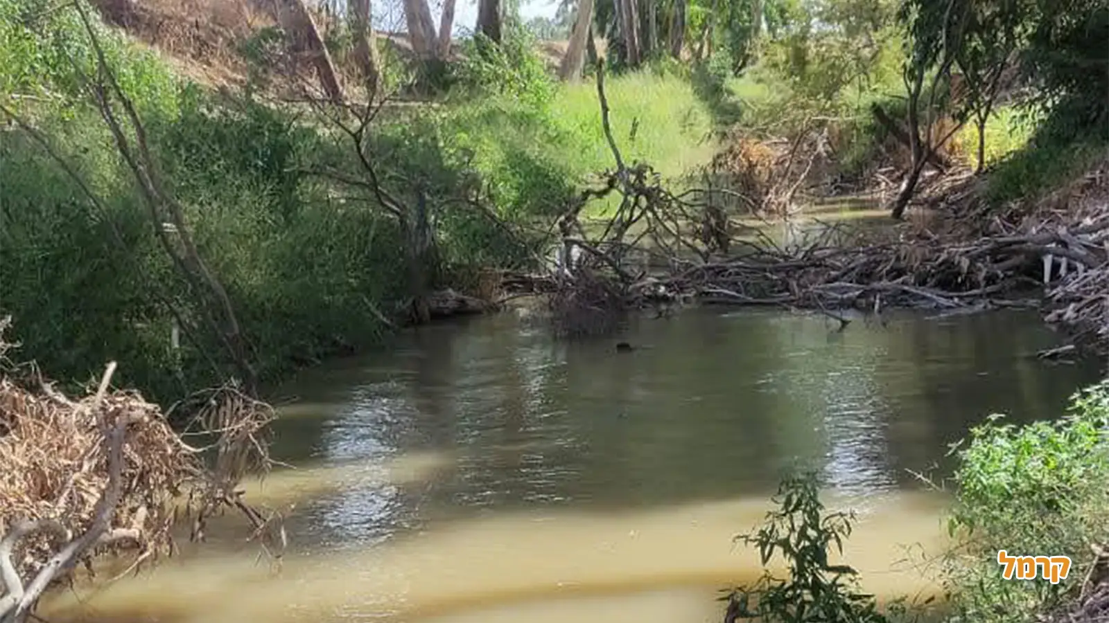 בין פארקים לנחלים במרכז: חוויות לכל המשפחה בין פארקים לנחלים במרכז: חוויות לכל המשפחה