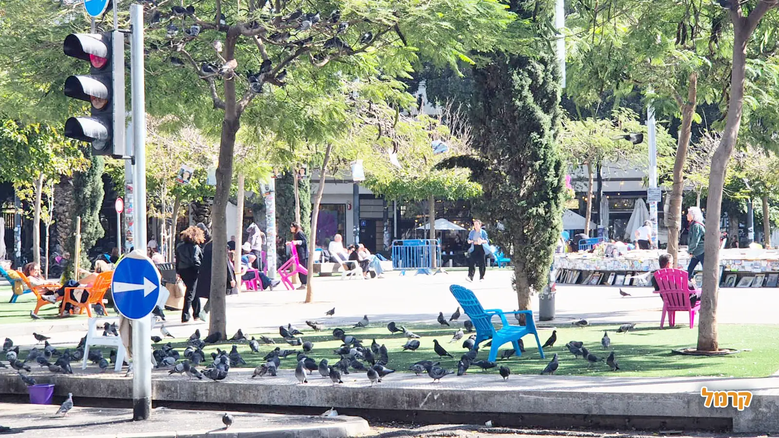 בין פארקים לנחלים במרכז: חוויות לכל המשפחה