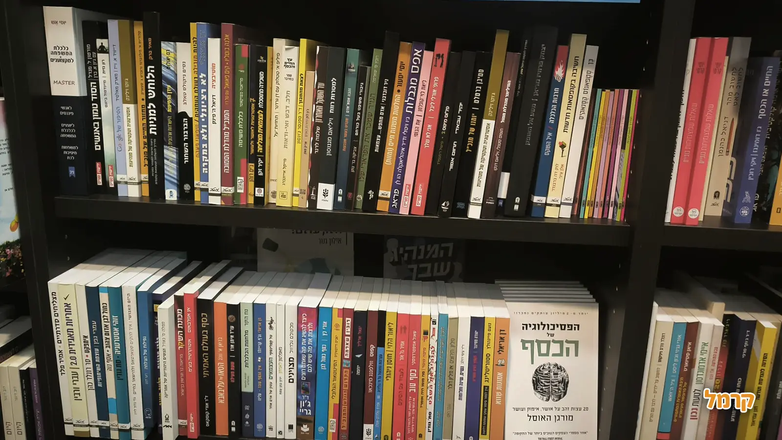 למה יריד ספרים הוא הרבה יותר מסיבוב בחנות ספרים?