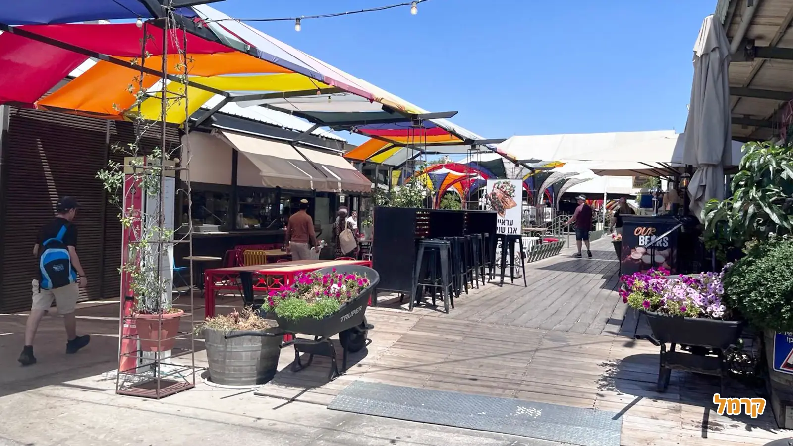 רוצים לדעת איזה סוגי סיורים יש בארץ?