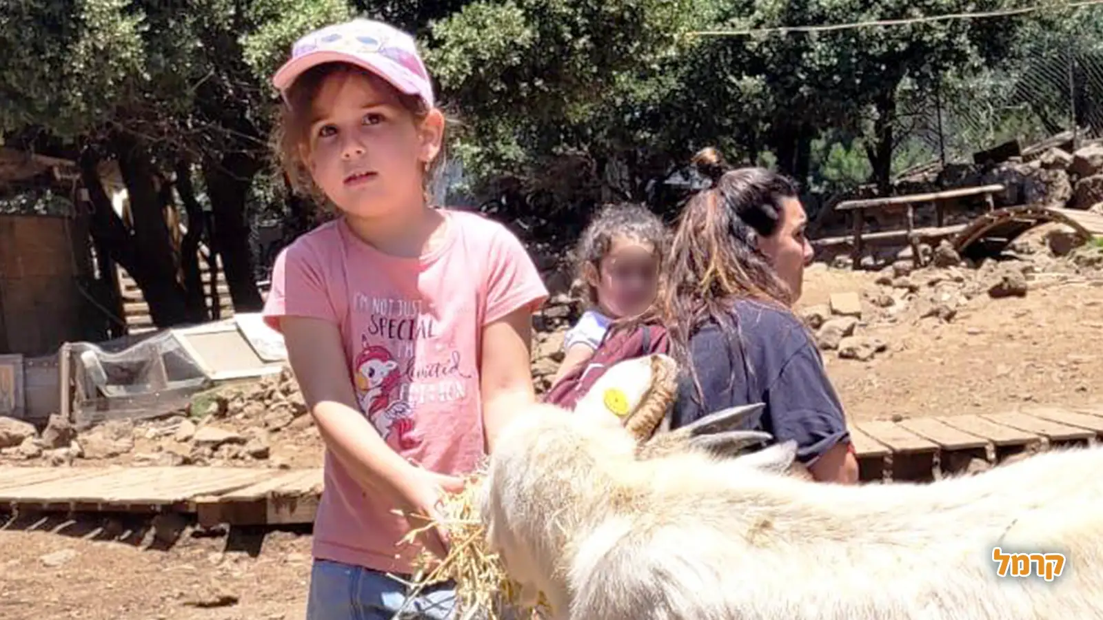 לא רק קטיף: מה עוד מחכה לכם בחוות הדובדבנים?