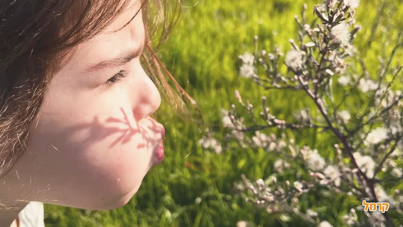 סודות העיר: המקומות שמתחבאים מתחת לאף שלנו סודות העיר: המקומות שמתחבאים מתחת לאף שלנו