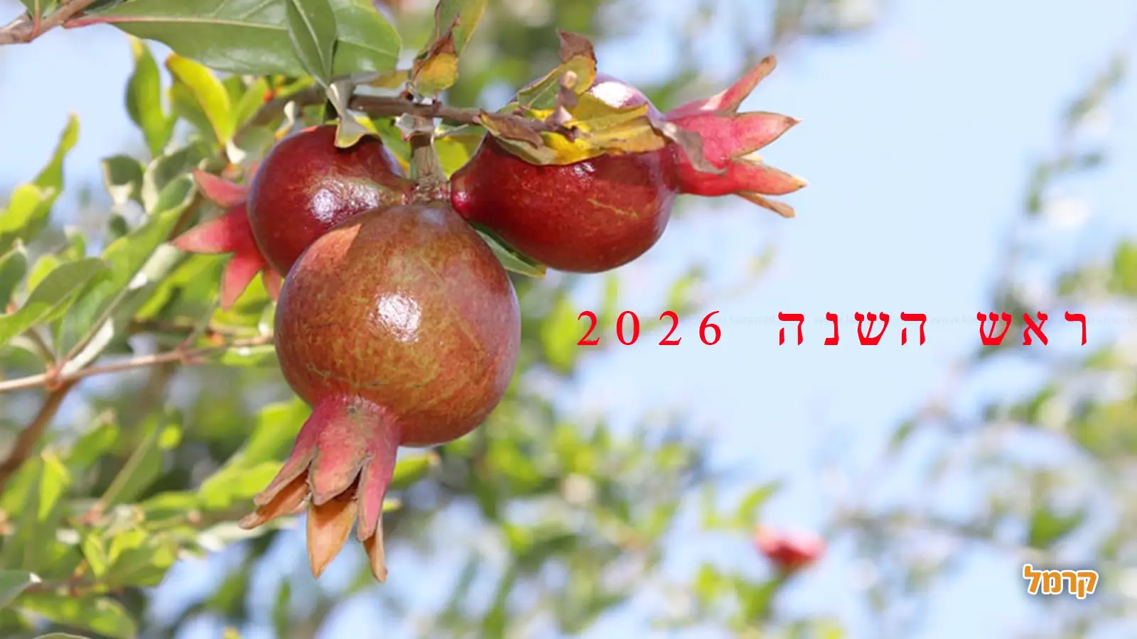 מה עושים בראש השנה 2026 עם הילדים?