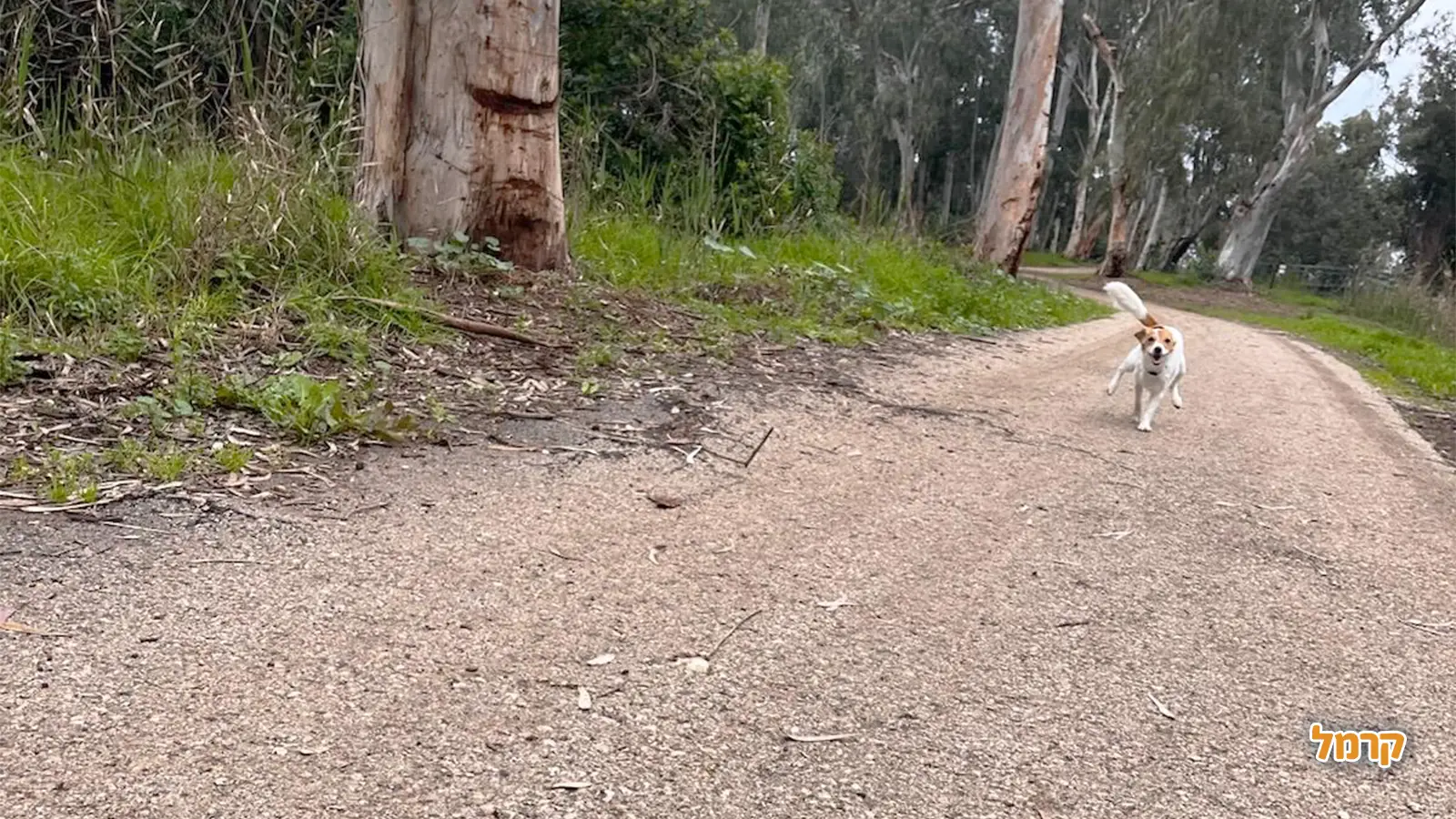 הנופים, האתגרים והרגעים הבלתי נשכחים לאורך המסלול הארוך בישראל