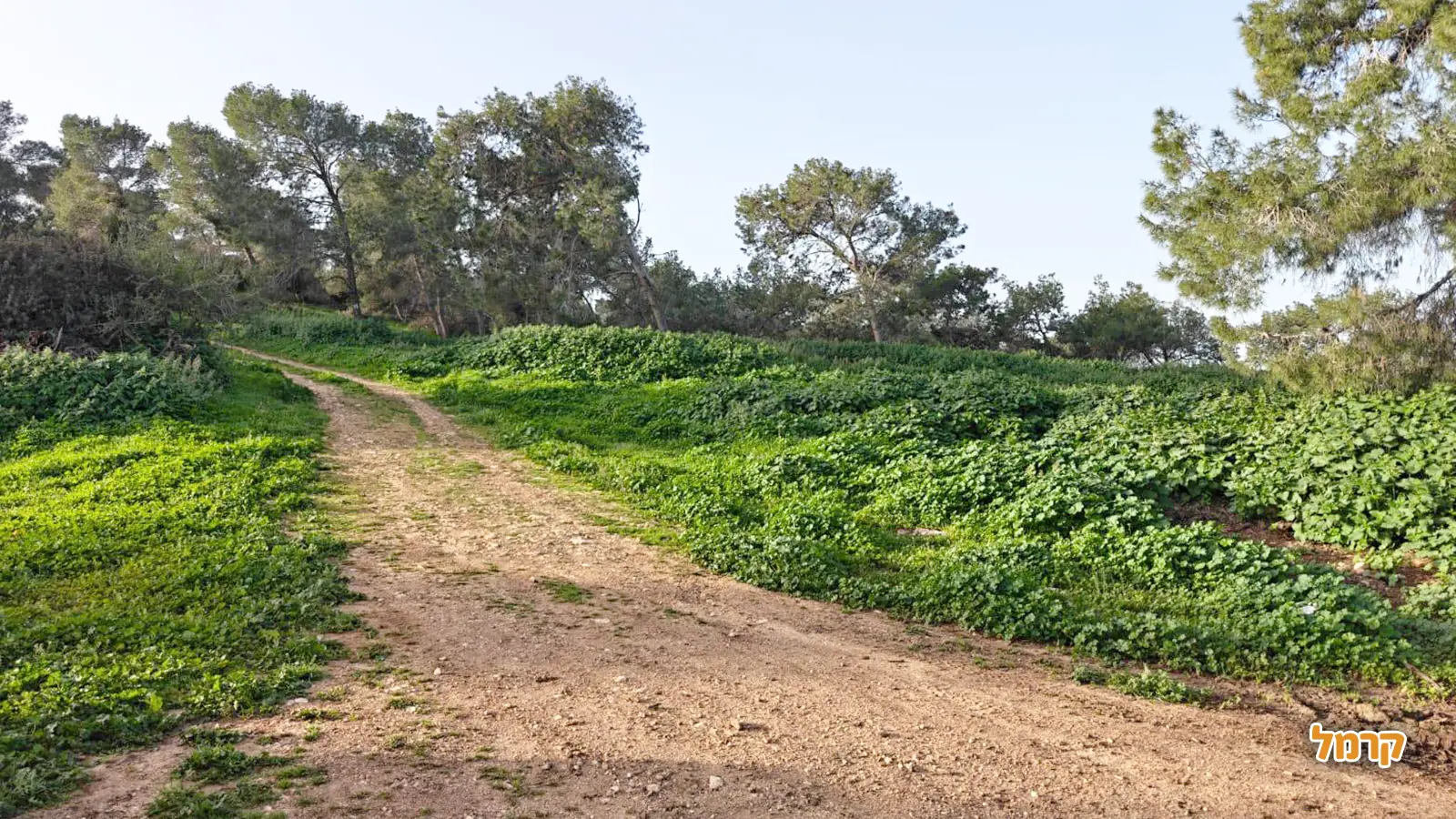 כך תתכננו מסע חוצה בארץ בצורה נכונה