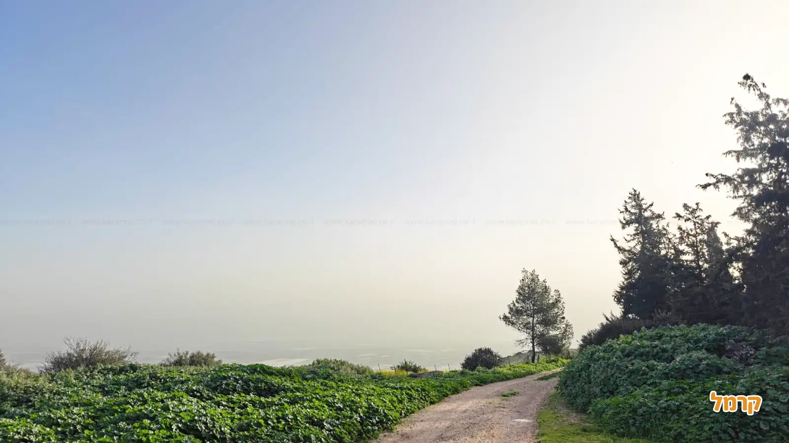 כך תתכננו מסע חוצה בארץ בצורה נכונה כך תתכננו מסע חוצה בארץ בצורה נכונה