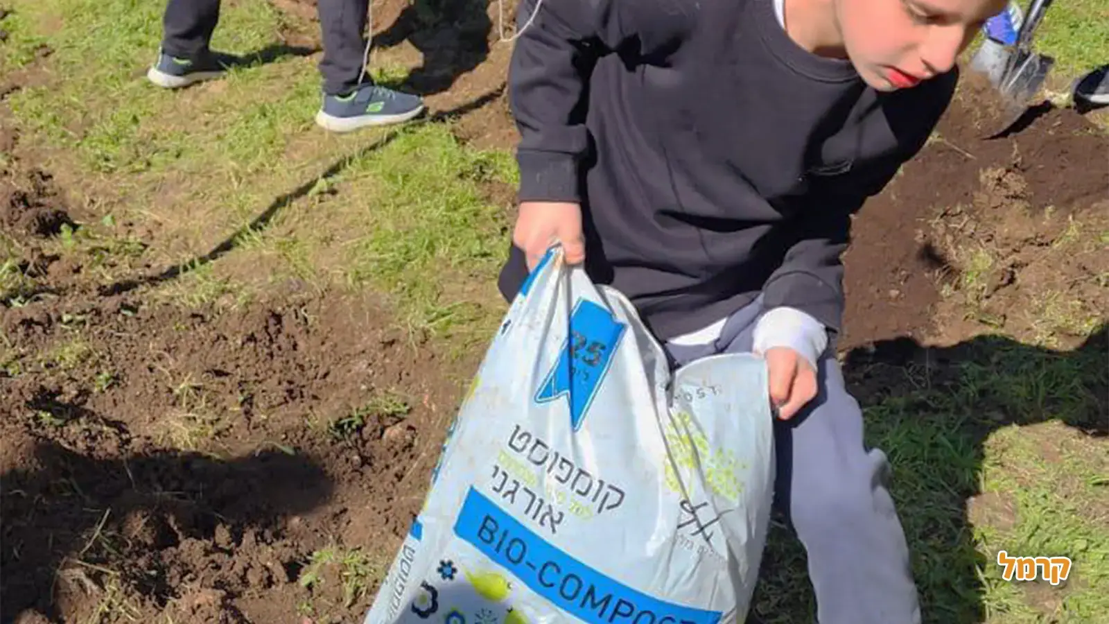 שתילות טו בשבט