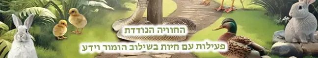החוויה הנודדת