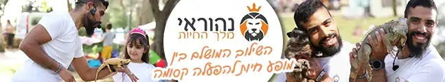 נהוראי מלך החיות