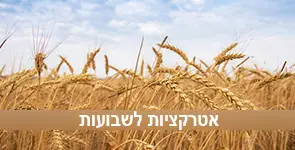 שלל חוויות ושפע אטרקציות לשבועות