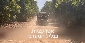 באגי בשטח בגליל המערבי