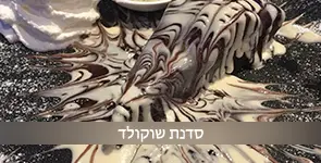 עוגת שוקולד מסדנת שוקולד