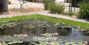 טיולים במרכז