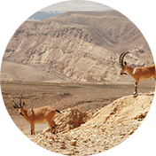 טיולים בדרום