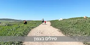 טיולים בצפון הארץ