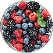 קטיף פירות יער