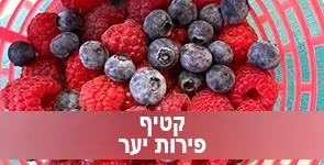 קטיף פירות יער