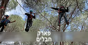 אנשים הולכים על חבל בפארק חבלים