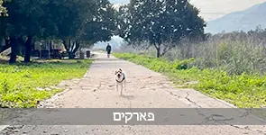 פארקים מהנים לכל המשפחה