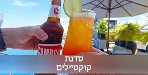סדנת קוקטיילים
