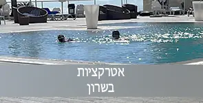 אטרקציה בשרון