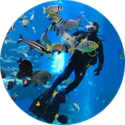 אטרקציות באילת