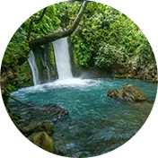 אטרקציות בצפון