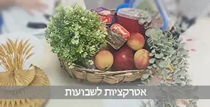 שלל חוויות ושפע אטרקציות לשבועות