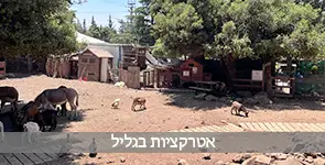 אטרקציות בגליל