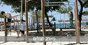 אנשים הולכים על חבל בפארק חבלים