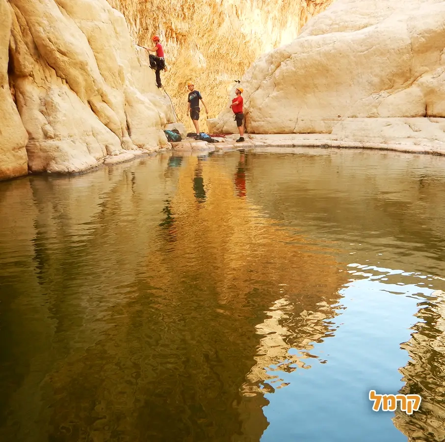 Tony Adventures- פעילות אתגרית - 073-7599376