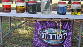 השכרת ציוד להפעלת בנים