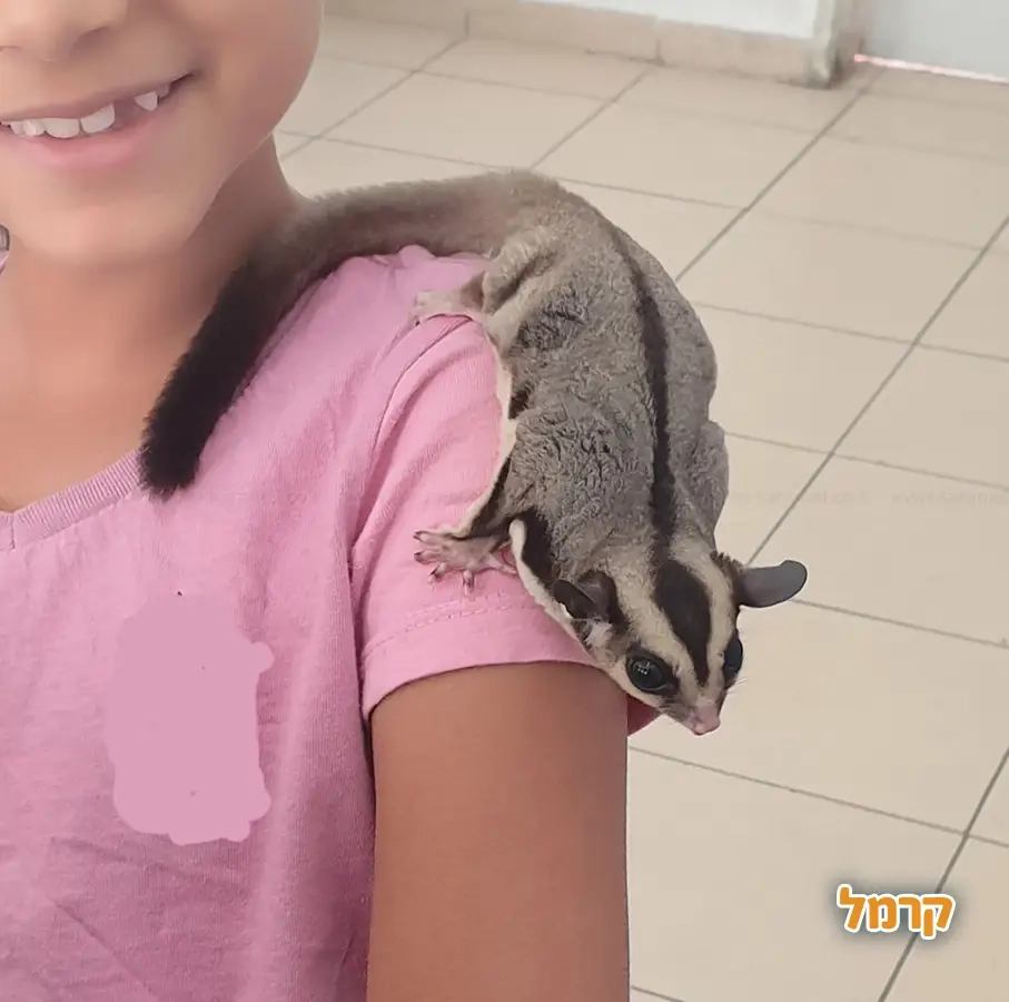 מושלמשי - חגיגה מושלמת לילדים - 073-7595947