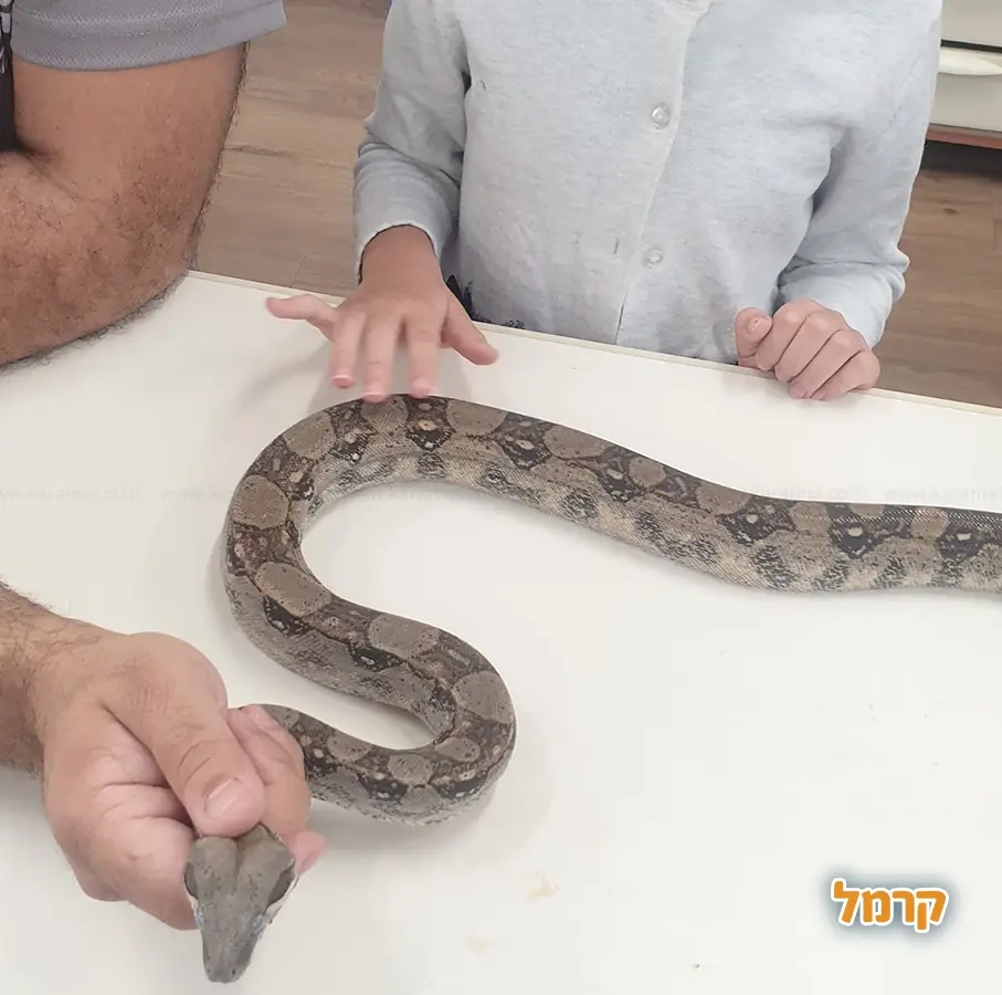 מושלמשי - חגיגה מושלמת לילדים - 073-7595947