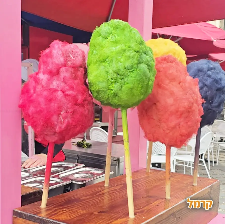 אלה בלונלה - 073-7599280