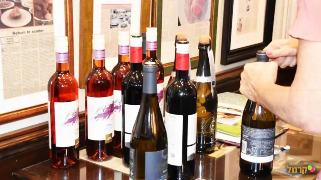 מפגשים על יין