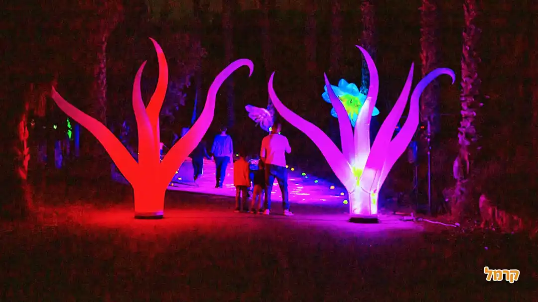 מסיבות פולמון