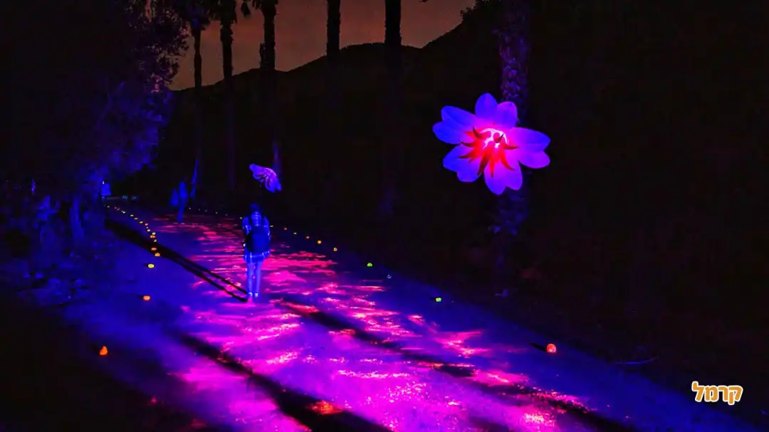 מסיבות פולמון