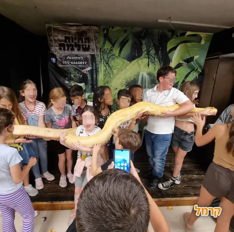 החיות של שלמה - 073-7026361