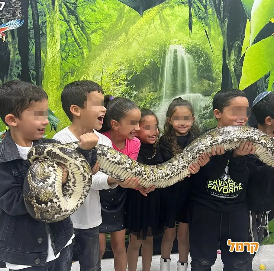 החיות של שלמה - 073-7026361