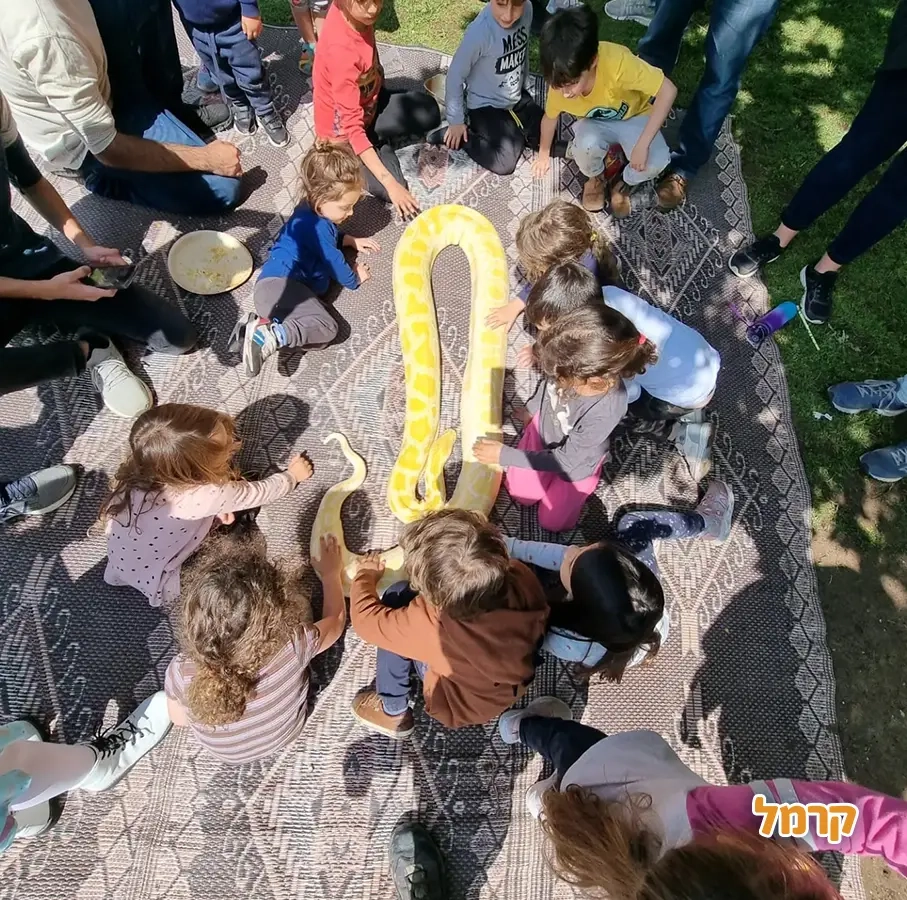 החיות של שלמה - 073-7026361