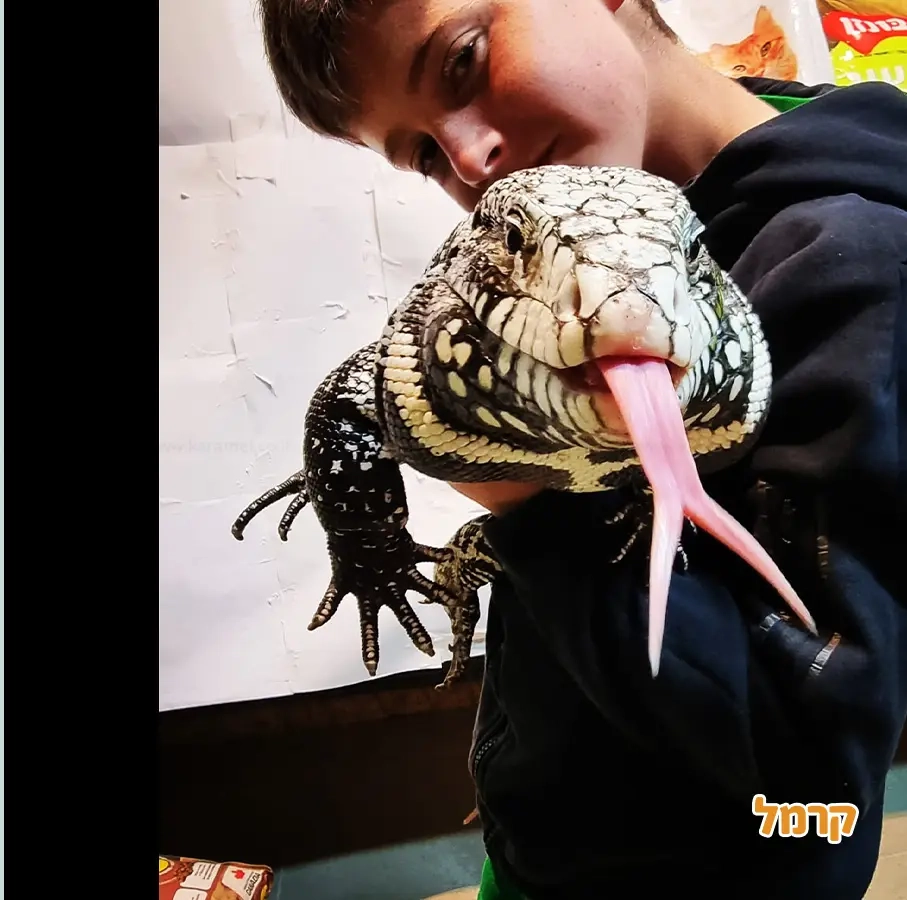 החיות של שלמה - 073-7026361