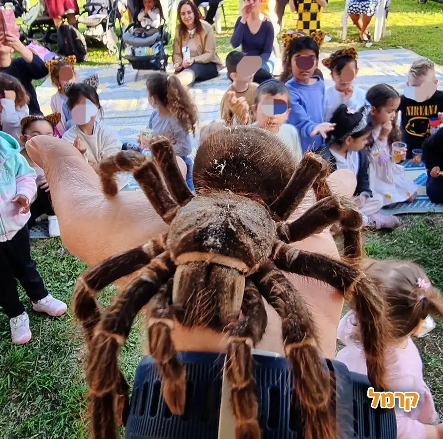 החיות של שלמה - 073-7026361